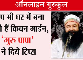 Kitchen Garden: Saint Dr. MSG Tips