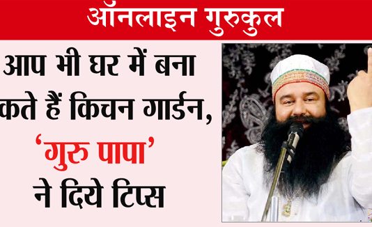 Kitchen Garden: Saint Dr. MSG Tips