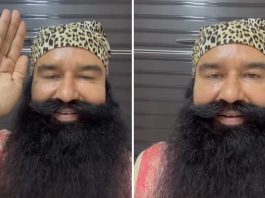 saint Dr. MSG