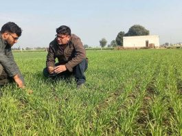 Farming