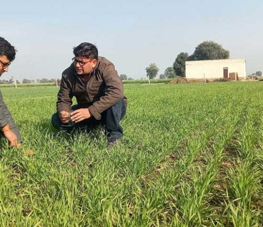 Farming