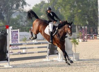 सफलता: घुड़सवारी में गुरुग्राम की बिटिया प्रगति की लम्बी छलांग Pragati Tayal, horse riding