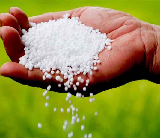 Urea