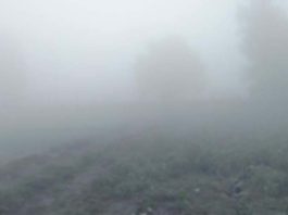 कोहरे के आगोश में लिपटा समूचा इलाका, बढ़ी सर्दी