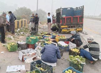 Welfare Work