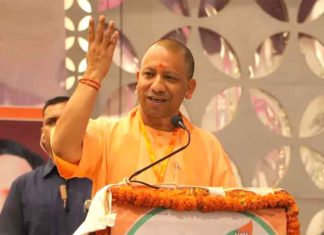 Yogi Government