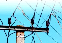 बिजली विभाग की लापरवाही से जला घरेलू मीटर, महिला ने लगाई न्याय की गुहार Kairana