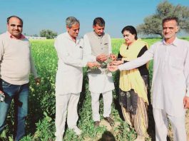 Bhiwani News