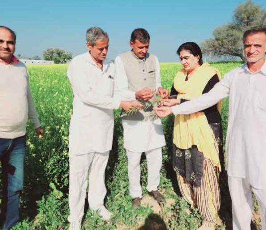 सांसद की पत्नी ने ठंड व पाले से प्रभावित फसलों का लिया जायजा Bhiwani News