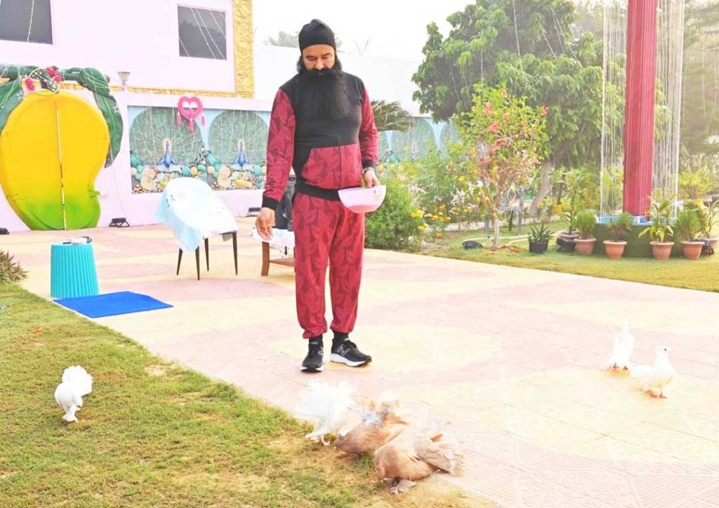 Saint Dr. MSG Bird Day