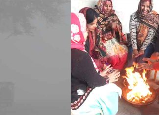 सर्दी के चलते पशु-पक्षी व आमजन का जनजीवन अस्त-व्यस्त