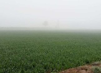 farmer