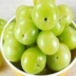 gooseberry