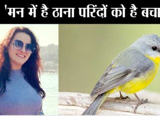 honnypreetNational Bird Day