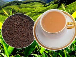 Chai Ki Kheti