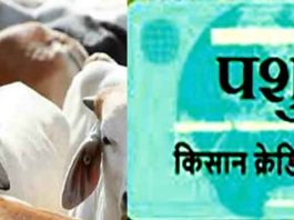 Pashu Kisan Credit Card