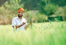 Farmers News: खुशखबरी! किसानों को मिलेगा सरकार से एक करोड़ तक का अनुदान!