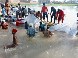 Dera-devotees