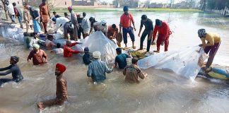 Dera-devotees