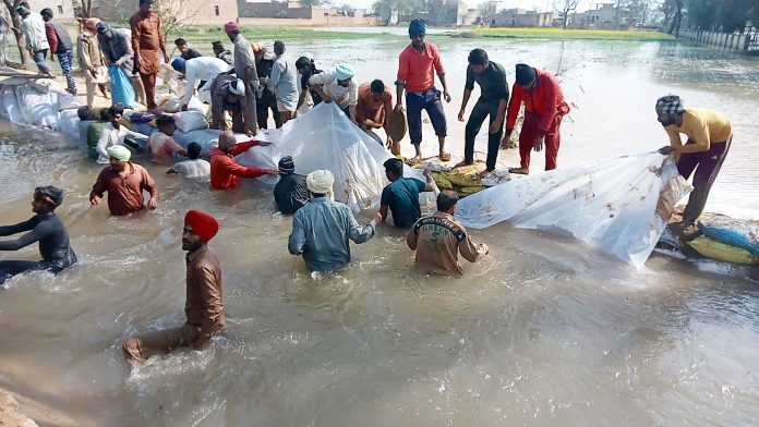 Dera-devotees