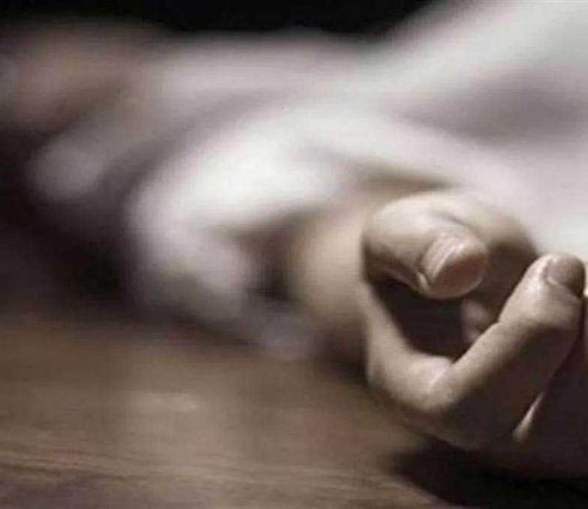 Breaking News: हिसार में H3N2 Virus से मौत, स्वास्थ्य विभाग में मचा हड़कंप H3N2