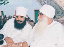 Msg