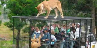 North-India's-largest-zoo