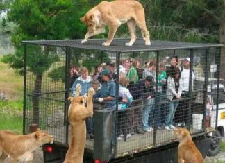 North-India's-largest-zoo