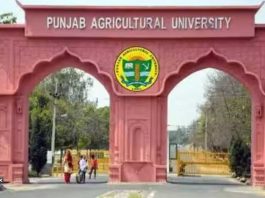 Punjab-Agricultural-University