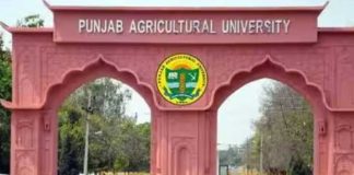 Punjab-Agricultural-University