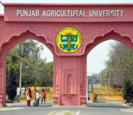 कृषि विवि में किसान मेला, पांच प्रगतिशील किसानों को किया जाएगा सम्मानित Punjab-Agricultural-University