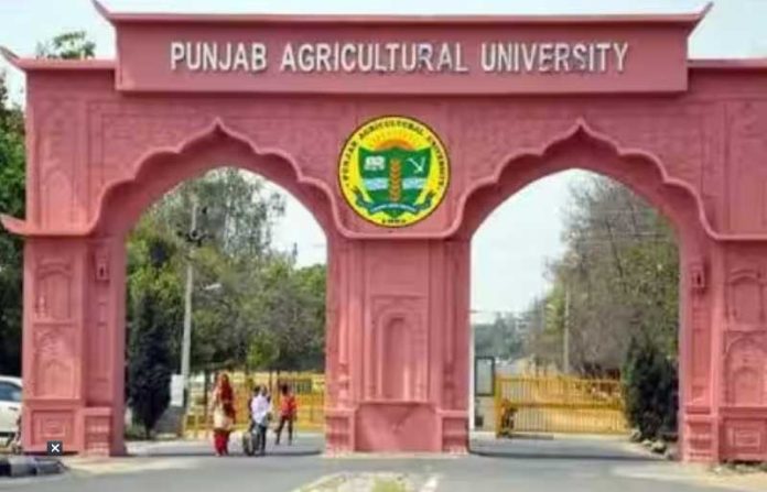 Punjab-Agricultural-University