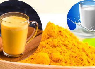 Turmeric Milk Benefits