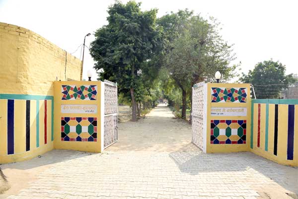 sirsa