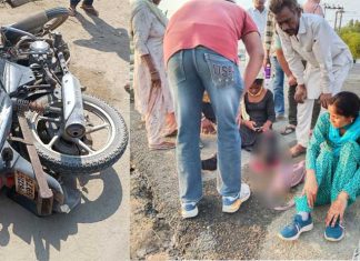 बेसहारा पशु की चपेट में आने से 65 वर्षीय बाइक सवार की दर्दनाक मौत