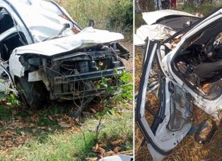 तेज रफ्तार बेकाबू कार पेड़ से टकराई, 2 चचेरे भाइयों समेत 3 युवकों की मौत Road Accident