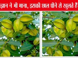 Arjun-ki-Chhal