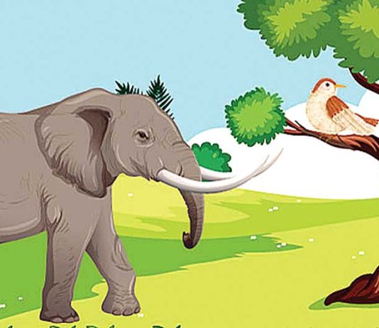 Children's Story
