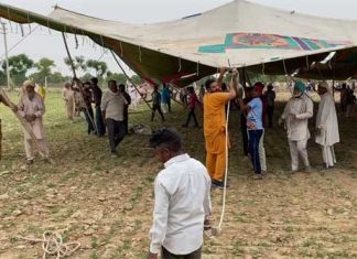 LIVE: डेरा सच्चा सौदा में उमड़ा श्रद्धा का सैलाब, सेवादारों खड़ी फसलों में बनाने पड़ रहे पंडाल Foundation-Day