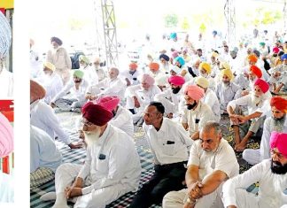 GSM-Buta-Singh-Insan