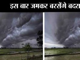 IMD-latest-prediction