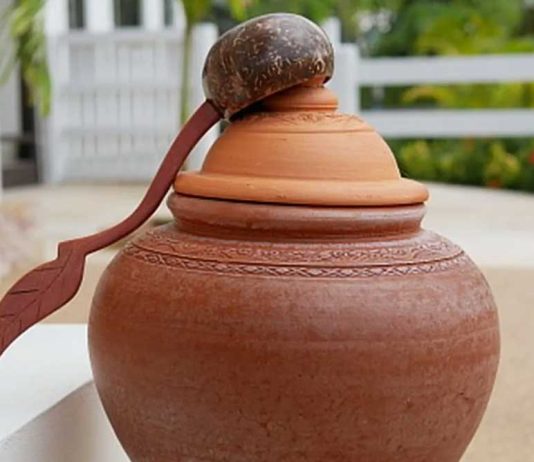 Health Benefits Of Pot Water: पेट के आकार सा मटका शीतलता देने के साथ-साथ देता है पेट की कई बीमारियों को पटका! Health Benefits Of Pot Water