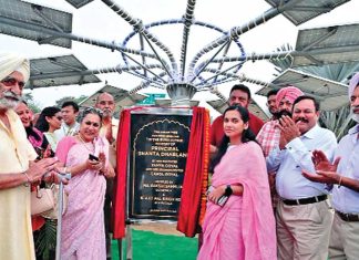 पटियाला की खूबसूरती को चार चांद लगाएगा ठीकरीवाला चौंक में लगा सोलर ट्री: साक्षी साहनी Patiala News