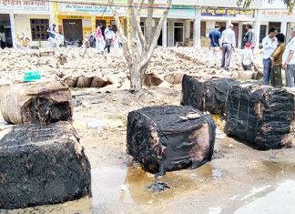 चाय के खोखे में अचानक लगी आग, गेहूं के हजारों थैले जले Safidon News
