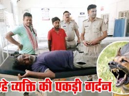 कुत्ते का आतंक, सो रहे अधेड़ की पकड़ी गर्दन, ट्रामा सेंटर में भर्ती Dog Bite Man Seriously Injured
