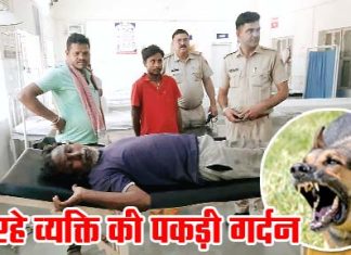 Dog Bite Man Seriously Injured