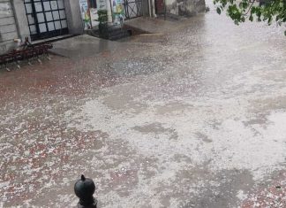 संगरूर में भारी ओलावृष्टि rain