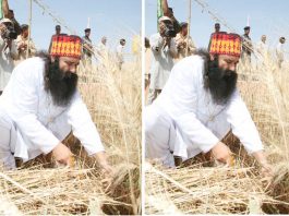 ram-rahim