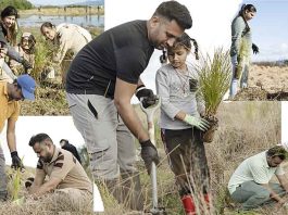 Auckland New Zealand