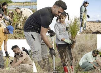 Auckland New Zealand